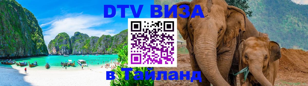 Сколько стоит DTV виза — актуальные цены, оформление даже без документов - Челябинск  06.12.2025 